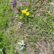 ヒメ日記 2026/04/09 22:22 投稿 しのぶ 豊満熟女