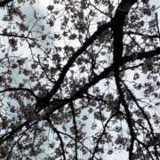 ヒメ日記 2026/04/17 19:34 投稿 しのぶ 豊満熟女