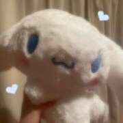 りた 🐶🩵‎🤍 ふわメロ