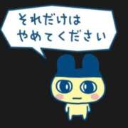 ヒメ日記 2025/11/06 11:32 投稿 あいす Beppin house