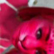 ヒメ日記 2025/12/14 21:46 投稿 白雪ここ 制服×コスプレ アオハルスイッチ