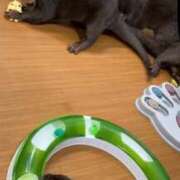 ヒメ日記 2025/12/19 17:06 投稿 白雪ここ 制服×コスプレ アオハルスイッチ