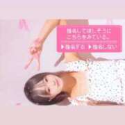 ヒメ日記 2026/04/14 09:36 投稿 白雪ここ 制服×コスプレ アオハルスイッチ