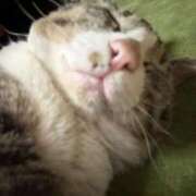 ヒメ日記 2026/04/30 18:16 投稿 白雪ここ 制服×コスプレ アオハルスイッチ