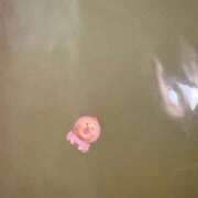 ヒメ日記 2026/05/01 21:36 投稿 白雪ここ 制服×コスプレ アオハルスイッチ