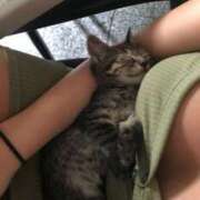 ヒメ日記 2025/11/01 13:41 投稿 ソフィア モアグループ小山人妻花壇