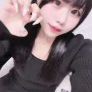 ヒメ日記 2025/10/28 23:51 投稿 ネコ 千葉美女革命