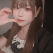 ヒメ日記 2025/10/29 02:01 投稿 ネコ 千葉美女革命