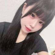 ヒメ日記 2025/10/29 06:01 投稿 ネコ 千葉美女革命