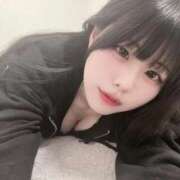 ヒメ日記 2025/10/29 08:21 投稿 ネコ 千葉美女革命