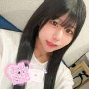 ヒメ日記 2025/10/29 10:41 投稿 ネコ 千葉美女革命