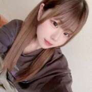 ヒメ日記 2025/10/29 11:41 投稿 ネコ 千葉美女革命