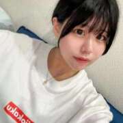 ヒメ日記 2025/10/29 14:41 投稿 ネコ 千葉美女革命