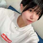 ヒメ日記 2025/10/29 17:41 投稿 ネコ 千葉美女革命