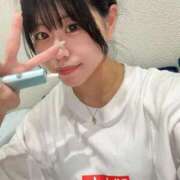 ヒメ日記 2025/10/30 08:35 投稿 ネコ 千葉美女革命