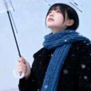 ヒメ日記 2025/10/31 00:05 投稿 ネコ 千葉美女革命