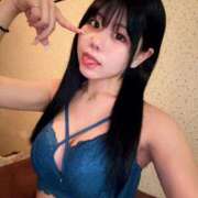 ヒメ日記 2025/11/14 09:25 投稿 ネコ 千葉美女革命