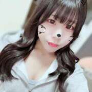 ヒメ日記 2025/12/19 12:34 投稿 ネコ 千葉美女革命