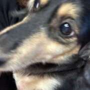 ヒメ日記 2025/10/27 21:28 投稿 Hasumi(はすみ） AMATERAS(アマテラス)(福山)