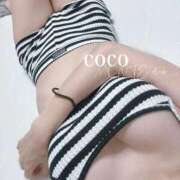 ヒメ日記 2025/10/27 02:32 投稿 山崎 ここ［L］ モンテクラブ