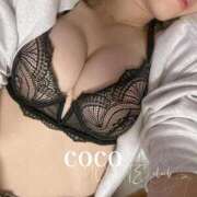 ヒメ日記 2025/11/04 15:42 投稿 山崎 ここ［L］ モンテクラブ