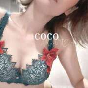 ヒメ日記 2025/11/22 11:22 投稿 山崎 ここ［L］ モンテクラブ