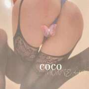 ヒメ日記 2025/12/15 17:32 投稿 山崎 ここ［L］ モンテクラブ