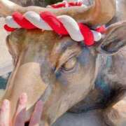 ヒメ日記 2026/02/03 12:01 投稿 奥≫夢風まみや 不倫商事 多治見本店