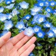 ヒメ日記 2026/04/12 12:04 投稿 奥≫夢風まみや 不倫商事 多治見本店