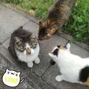 つむぎ 🐈⸒⸒⸒⸒ 若妻淫乱倶楽部