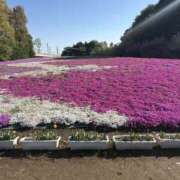 ヒメ日記 2026/04/18 12:05 投稿 つむぎ 若妻淫乱倶楽部