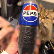 ヒメ日記 2025/12/27 13:27 投稿 まゆの ハピネス東京