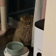 ヒメ日記 2026/01/05 06:07 投稿 まゆの ハピネス東京