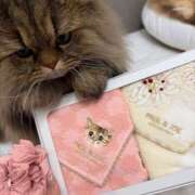 ヒメ日記 2026/01/08 14:57 投稿 まゆの ハピネス東京