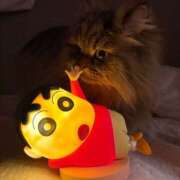 ヒメ日記 2026/01/15 23:47 投稿 まゆの ハピネス東京