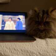 ヒメ日記 2026/02/01 00:07 投稿 まゆの ハピネス東京