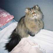 ヒメ日記 2026/03/05 13:07 投稿 まゆの ハピネス東京