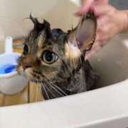 ヒメ日記 2026/03/28 10:17 投稿 まゆの ハピネス東京