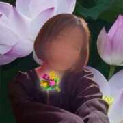 ヒメ日記 2025/11/15 14:30 投稿 すいれん 熊本ちゃんこ　八代店