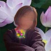 ヒメ日記 2025/11/15 14:49 投稿 すいれん 熊本ちゃんこ　八代店