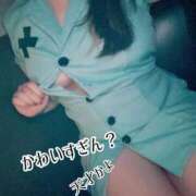 ヒメ日記 2025/10/30 17:29 投稿 さくら G-SCANDAL