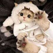 ヒメ日記 2025/11/20 21:53 投稿 あず【高学歴清楚大学生】 STELLA TOKYO－ステラトウキョウ－