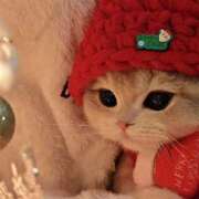 ヒメ日記 2025/12/21 22:06 投稿 あず【高学歴清楚大学生】 STELLA TOKYO－ステラトウキョウ－