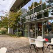 ヒメ日記 2025/11/02 17:11 投稿 影山 AROMA VENUS