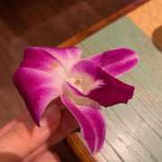 ヒメ日記 2025/11/27 20:34 投稿 影山 AROMA VENUS