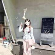 ヒメ日記 2026/03/23 06:22 投稿 恋咲あい　国宝級の神アイドル AROMA FACE NAKASU