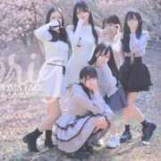 ヒメ日記 2026/03/27 08:32 投稿 りず　ダイヤモンドクラス美少女 AROMA FACE NAKASU