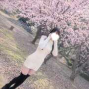 ヒメ日記 2026/04/06 17:32 投稿 りず　ダイヤモンドクラス美少女 AROMA FACE NAKASU