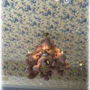 ヒメ日記 2026/02/15 11:49 投稿 あも　アイドルプリンセス AROMA FACE NAKASU