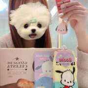 ヒメ日記 2026/04/03 21:32 投稿 じゅり　清楚感もありながらエロさ AROMA FACE NAKASU